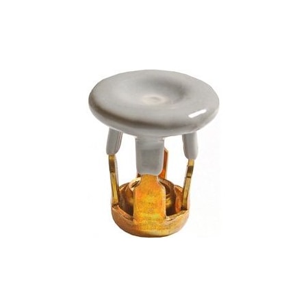 Auveco JACK NUT M6-1.0 RAINTITE, 10PK 12999